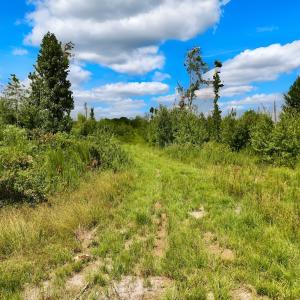 Photo #41 of 1115 WILMAR RD, vanceboro, NC 166.0 acres