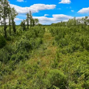 Photo #42 of 1115 WILMAR RD, vanceboro, NC 166.0 acres