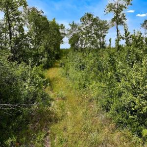 Photo #44 of 1115 WILMAR RD, vanceboro, NC 166.0 acres