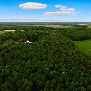 Photo #10 of Off Lakeview Dr, Tarboro, NC 3.5 acres