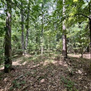 Photo #11 of Off Lakeview Dr, Tarboro, NC 3.5 acres