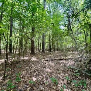 Photo #12 of Off Lakeview Dr, Tarboro, NC 3.5 acres