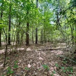 Photo #13 of Off Lakeview Dr, Tarboro, NC 3.5 acres