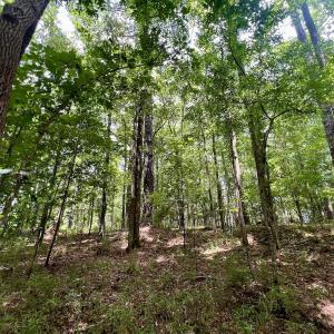 Photo #17 of Off Lakeview Dr, Tarboro, NC 3.5 acres