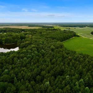Photo #1 of Off Lakeview Dr, Tarboro, NC 3.5 acres