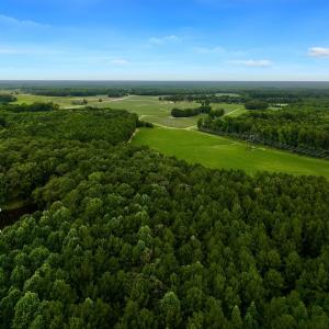 Photo #2 of Off Lakeview Dr, Tarboro, NC 3.5 acres