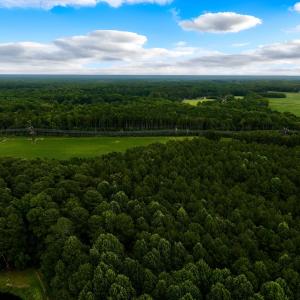 Photo #3 of Off Lakeview Dr, Tarboro, NC 3.5 acres