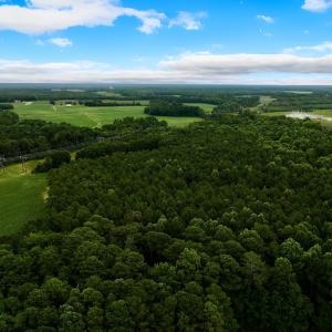 Photo #4 of Off Lakeview Dr, Tarboro, NC 3.5 acres