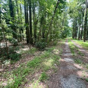 Photo #5 of Off Lakeview Dr, Tarboro, NC 3.5 acres