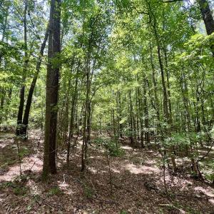 Photo #7 of Off Lakeview Dr, Tarboro, NC 3.5 acres