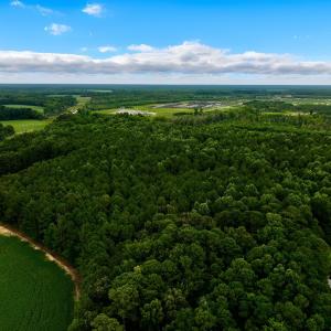 Photo #8 of Off Lakeview Dr, Tarboro, NC 3.5 acres