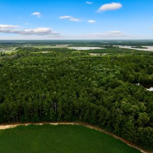 Photo #9 of Off Lakeview Dr, Tarboro, NC 3.5 acres