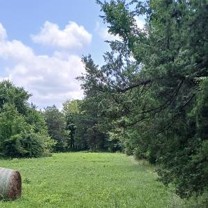 Photo #2 of 6175 NC Hwy 86S, Yanceyville, NC 4.2 acres
