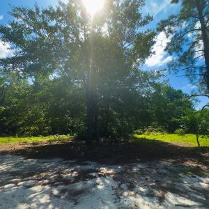 Photo #9 of Off Ravens Nest Lane, Cameron, NC 10.1 acres