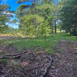 Photo #11 of Off Ravens Nest Lane, Cameron, NC 10.1 acres