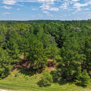 Photo #14 of Off Ravens Nest Lane, Cameron, NC 10.1 acres