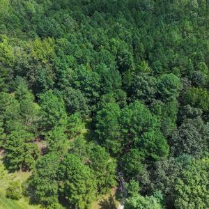 Photo #15 of Off Ravens Nest Lane, Cameron, NC 10.1 acres