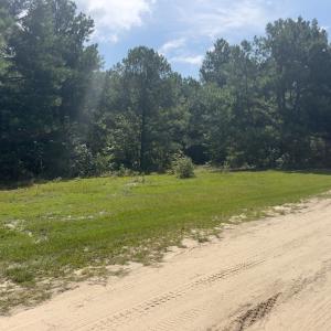 Photo #20 of Off Ravens Nest Lane, Cameron, NC 10.1 acres