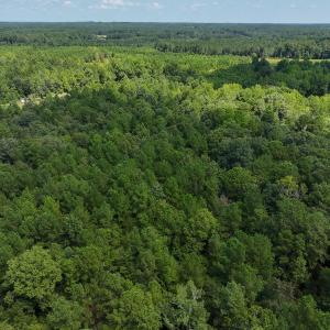 Photo #22 of Off Ravens Nest Lane, Cameron, NC 10.1 acres