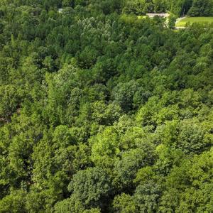 Photo #24 of Off Ravens Nest Lane, Cameron, NC 10.1 acres