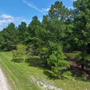 Photo #26 of Off Ravens Nest Lane, Cameron, NC 10.1 acres