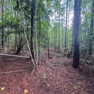 Photo #29 of Off Ravens Nest Lane, Cameron, NC 10.1 acres