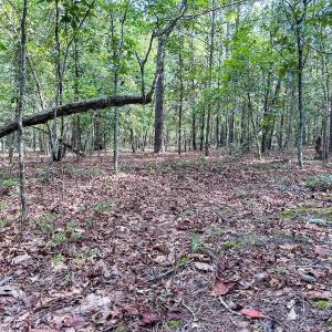 Photo #30 of Off Ravens Nest Lane, Cameron, NC 10.1 acres