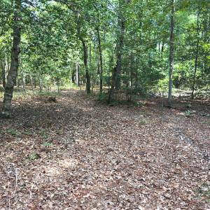 Photo #32 of Off Ravens Nest Lane, Cameron, NC 10.1 acres
