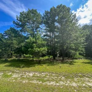 Photo #33 of Off Ravens Nest Lane, Cameron, NC 10.1 acres