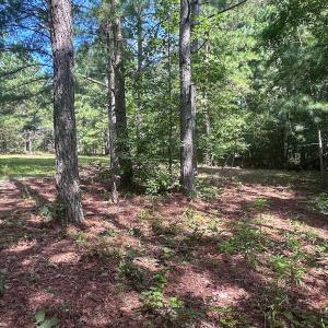 Photo #34 of Off Ravens Nest Lane, Cameron, NC 10.1 acres