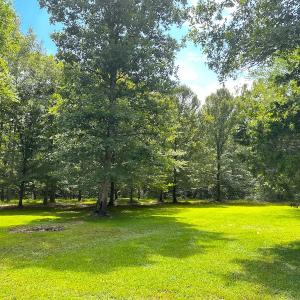 Photo #27 of 15316 Rattlesnake Trail, Ivor, VA 15.0 acres
