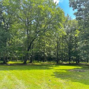 Photo #28 of 15316 Rattlesnake Trail, Ivor, VA 15.0 acres