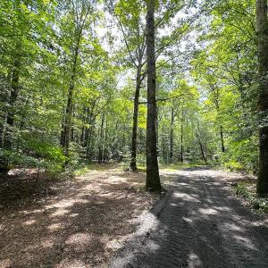 Photo #30 of 15316 Rattlesnake Trail, Ivor, VA 15.0 acres