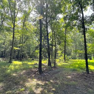 Photo #31 of 15316 Rattlesnake Trail, Ivor, VA 15.0 acres