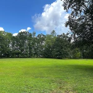 Photo #37 of 15316 Rattlesnake Trail, Ivor, VA 15.0 acres