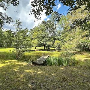 Photo #5 of 15316 Rattlesnake Trail, Ivor, VA 15.0 acres