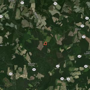Photo #41 of 15316 Rattlesnake Trail, Ivor, VA 15.0 acres
