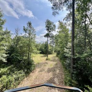 Photo #13 of 1596 Middle Swamp Rd, Corapeak, NC 149.9 acres