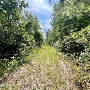 Photo #15 of 1596 Middle Swamp Rd, Corapeak, NC 149.9 acres