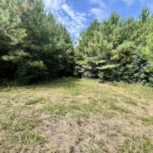 Photo #19 of 1596 Middle Swamp Rd, Corapeak, NC 149.9 acres