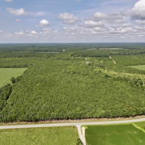 Photo #2 of 1596 Middle Swamp Rd, Corapeak, NC 149.9 acres