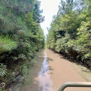 Photo #27 of 1596 Middle Swamp Rd, Corapeak, NC 149.9 acres