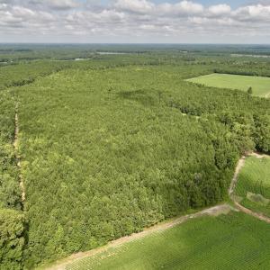 Photo #28 of 1596 Middle Swamp Rd, Corapeak, NC 149.9 acres