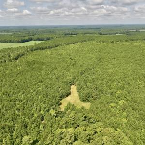Photo #29 of 1596 Middle Swamp Rd, Corapeak, NC 149.9 acres