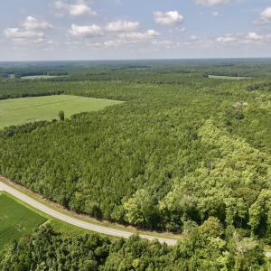 Photo #3 of 1596 Middle Swamp Rd, Corapeak, NC 149.9 acres