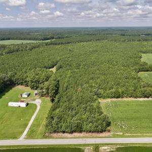 Photo #30 of 1596 Middle Swamp Rd, Corapeak, NC 149.9 acres