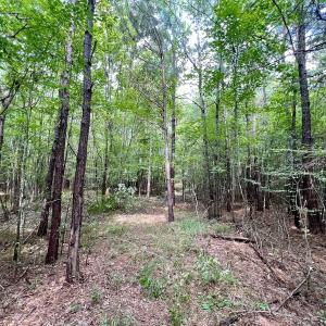 Photo #32 of 1596 Middle Swamp Rd, Corapeak, NC 149.9 acres