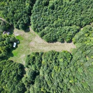 Photo #34 of 1596 Middle Swamp Rd, Corapeak, NC 149.9 acres