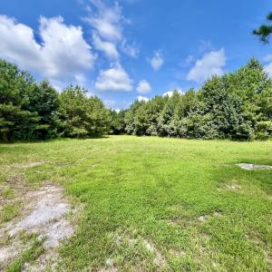 Photo #37 of 1596 Middle Swamp Rd, Corapeak, NC 149.9 acres
