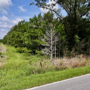 Photo #39 of 1596 Middle Swamp Rd, Corapeak, NC 149.9 acres